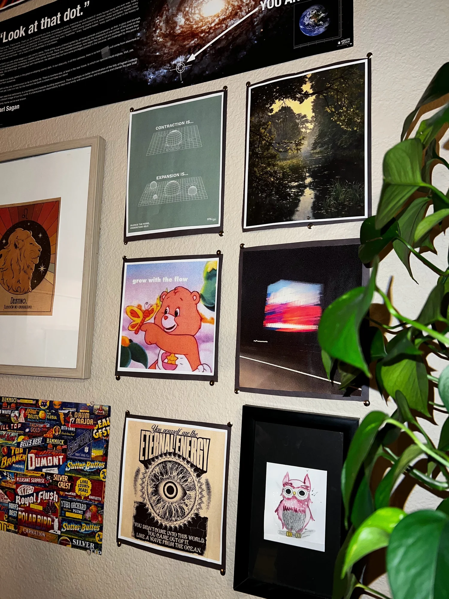 A gallery wall of art prints beside houseplants
