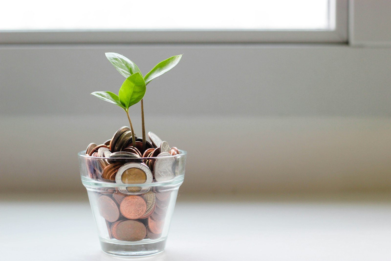 Stacked coins with a small plant growing, representing pay and benefits that build over time.